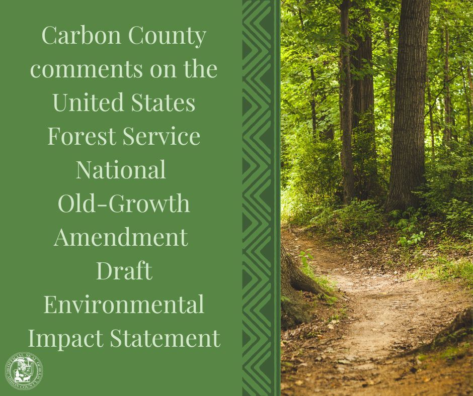 Believe in the magic of the season. And bloom where you are planted.